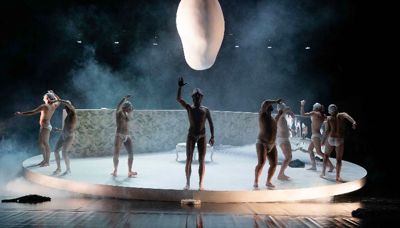 ΟΙ ΔΕΛΦΙΝΟΙ 2025-2026