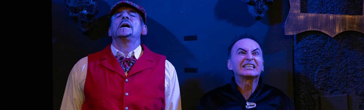 «Το Ξενοδοχείο των τρελών Παραθεριστών» 