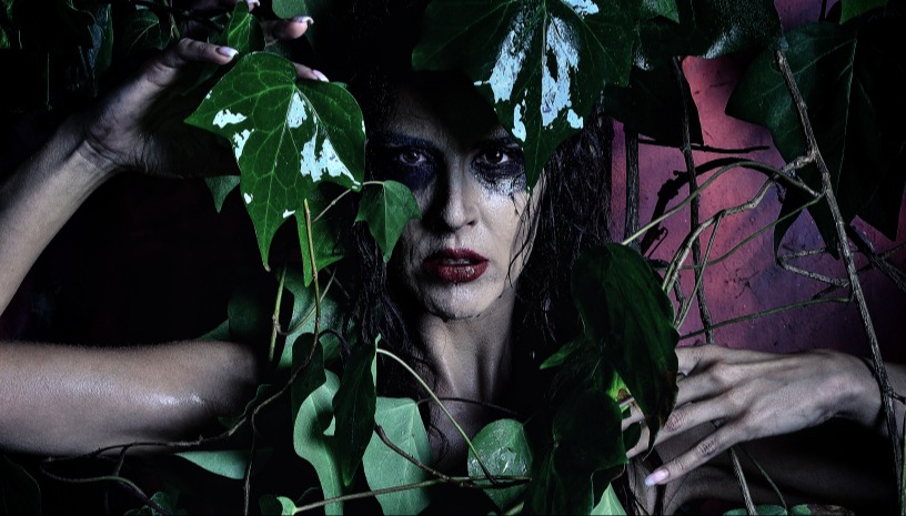 Η ΚΑΤΣΑΡΙΔΑ Κ.